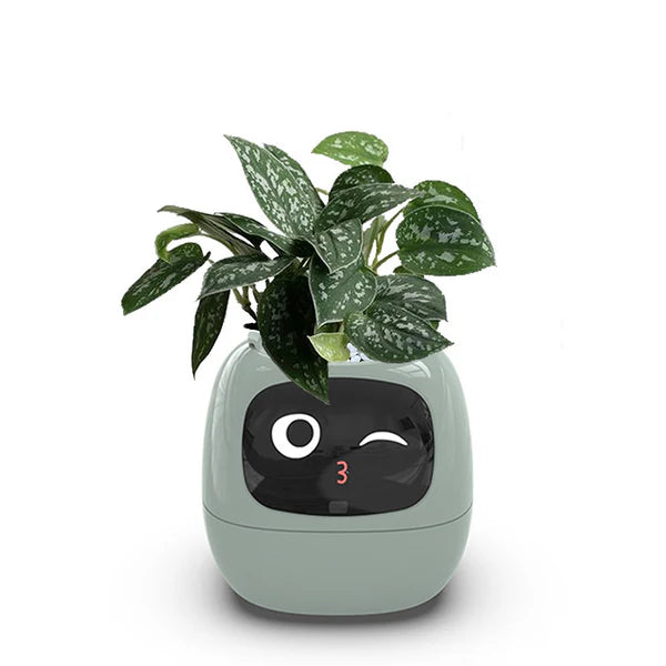 IVY Smart Plant Pot