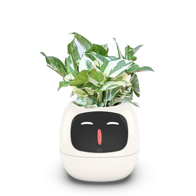 IVY Smart Plant Pot