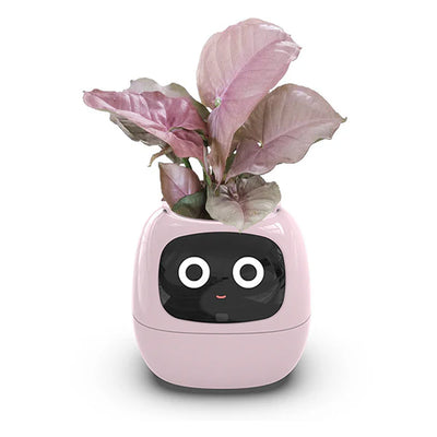 IVY Smart Plant Pot