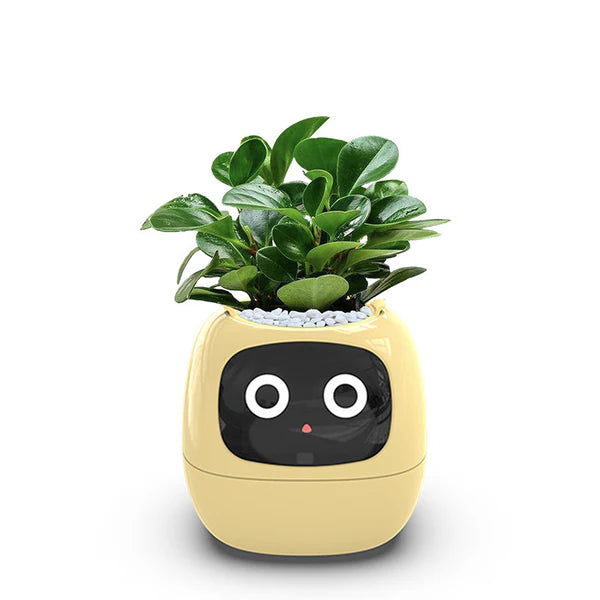 IVY Smart Plant Pot